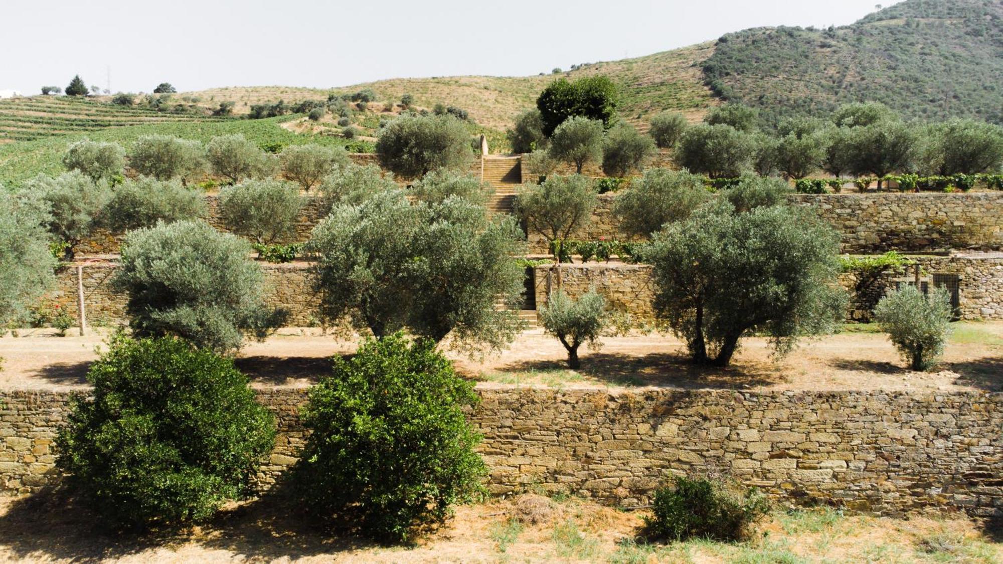 Готель Quinta Dona Matilde Пезу-да-Регуа Екстер'єр фото